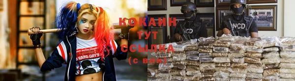 дурь Беломорск