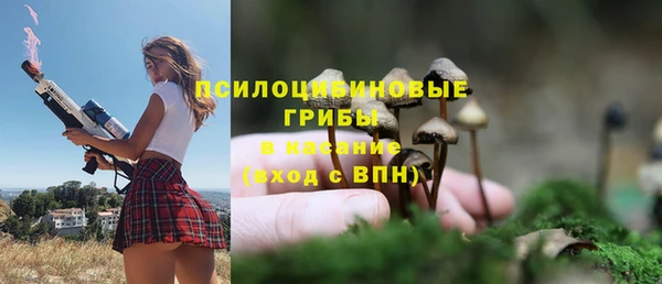 дурь Беломорск