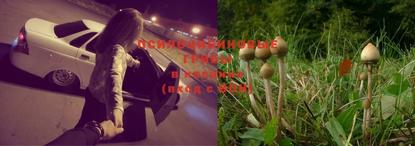 дурь Беломорск